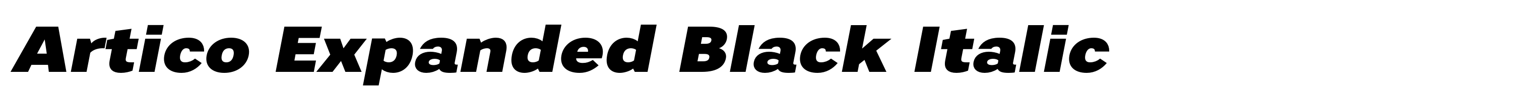 Artico Expanded Black Italic